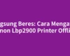 Langsung Beres: Cara Mengatasi Canon Lbp2900 Printer Offline