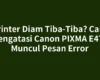 Printer Diam Tiba-Tiba? Cara Mengatasi Canon PIXMA E470 Muncul Pesan Error