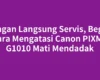 Jangan Langsung Servis, Begini Cara Mengatasi Canon PIXMA G1010 Mati Mendadak