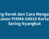 Biang Kerok dan Cara Mengatasi Canon PIXMA G4010 Kertas Sering Nyangkut