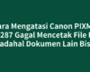 Cara Mengatasi Canon PIXMA MP287 Gagal Mencetak File Pdf Padahal Dokumen Lain Bisa