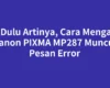 Cek Dulu Artinya, Cara Mengatasi Canon PIXMA MP287 Muncul Pesan Error